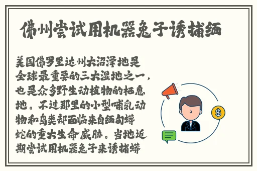 四川XXXXXLmobn成人快手